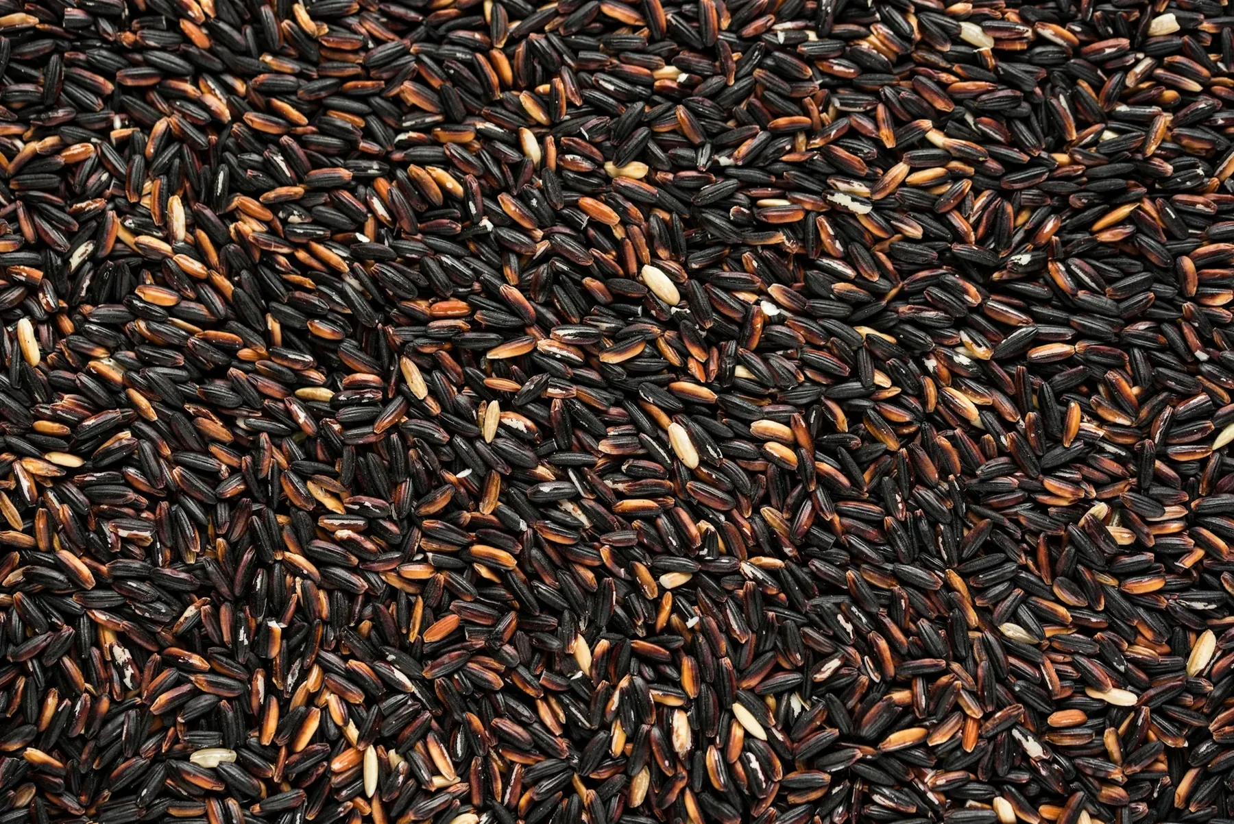 Grains de riz noir